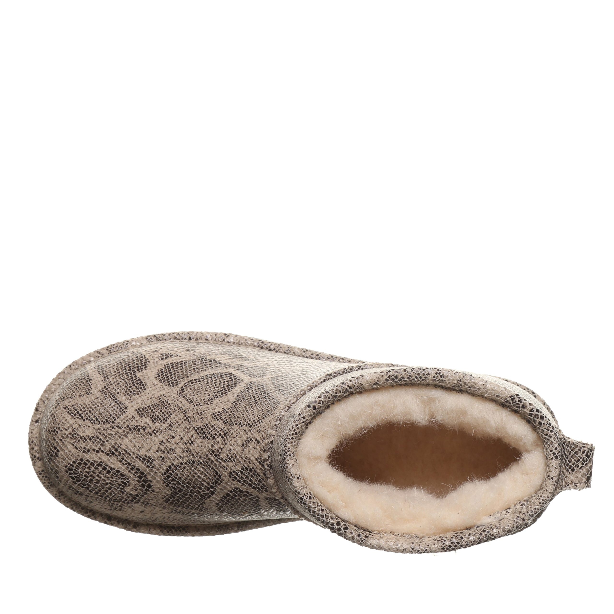 SHORTY EXOTIC OAT SNAKE - 图片 5