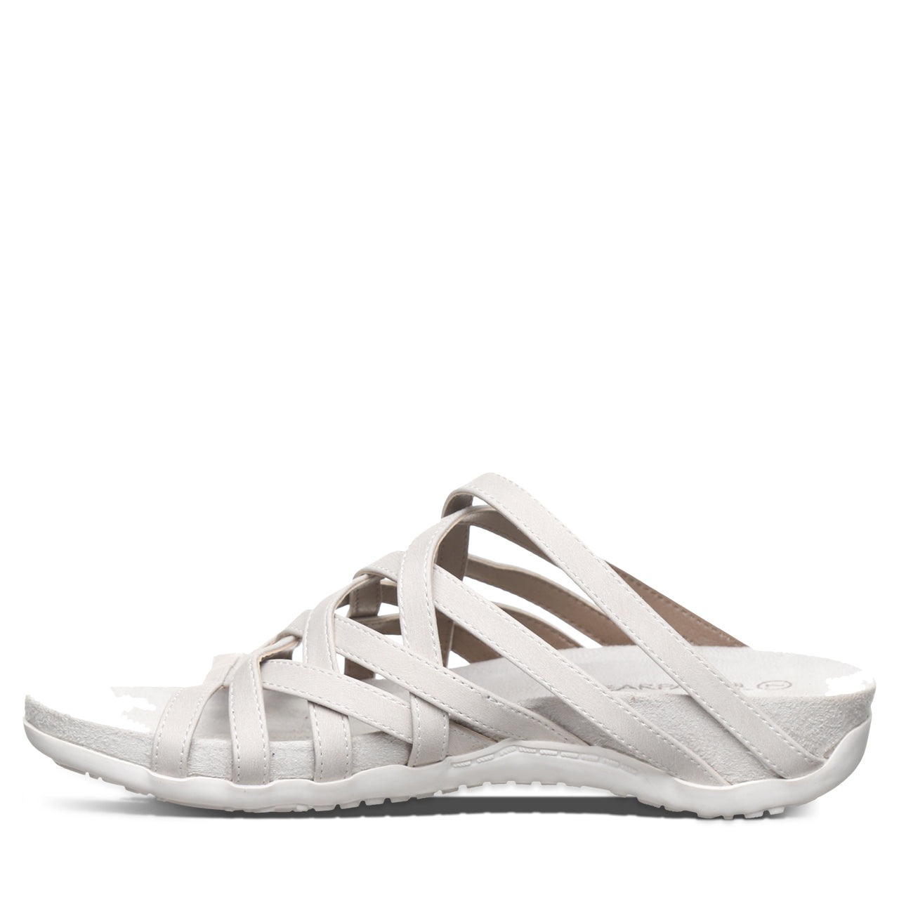 ZINNIA WHITE - 图片 3