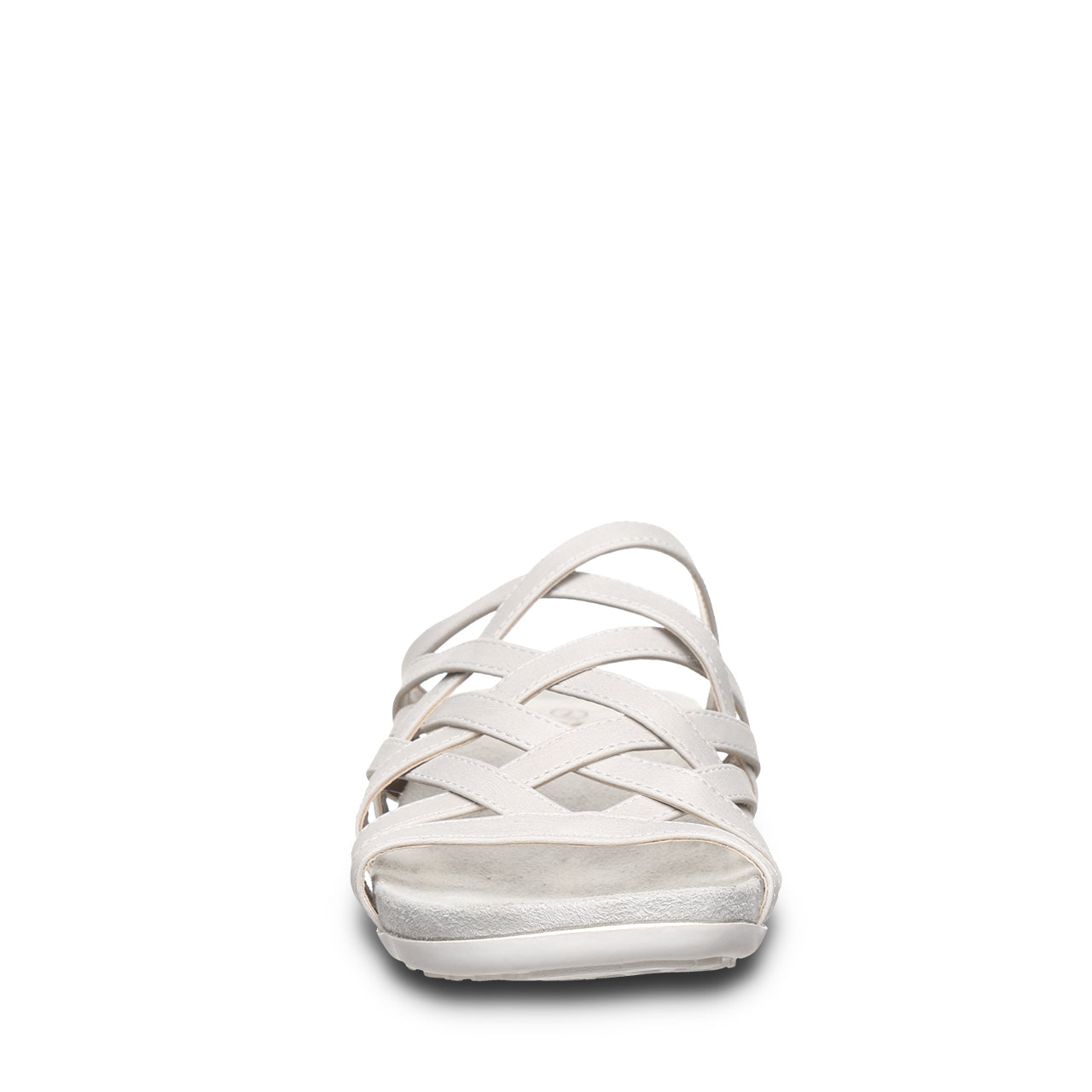 ZINNIA WHITE - 图片 7