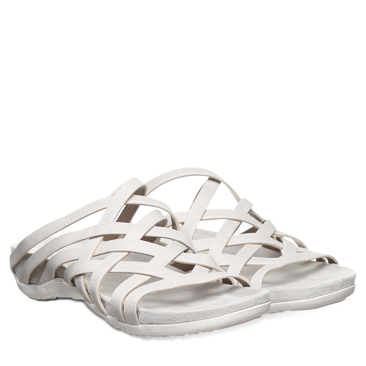 ZINNIA WHITE - 图片 8