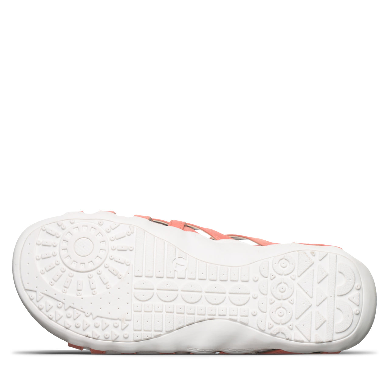 ZINNIA CORAL - 图片 4