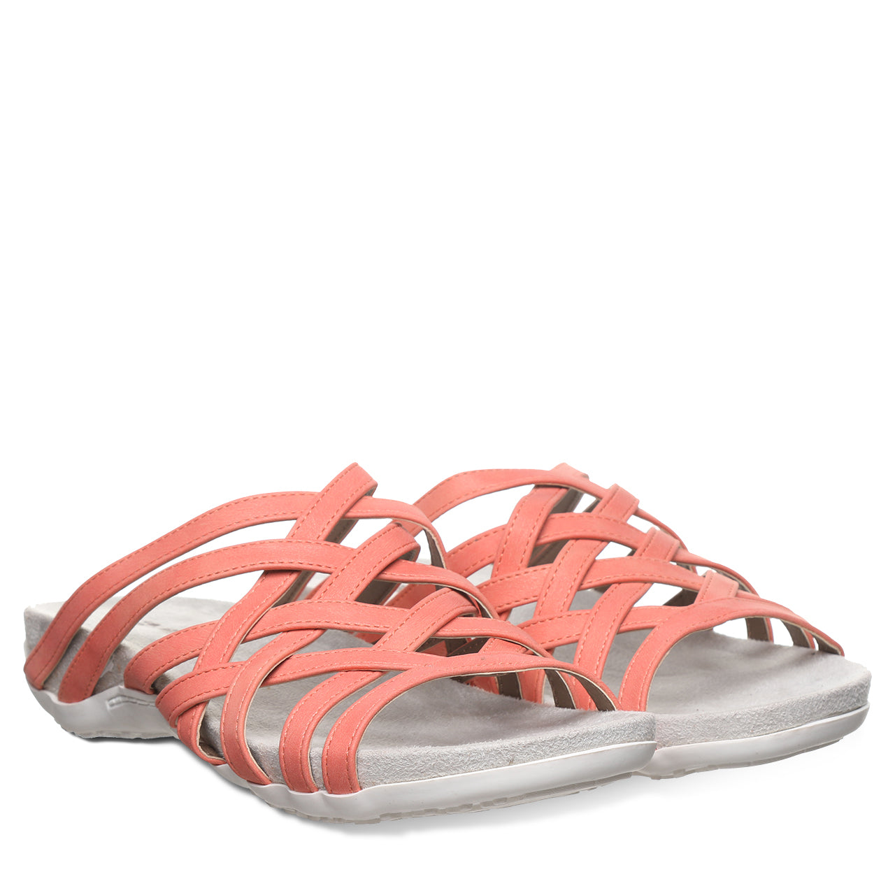 ZINNIA CORAL - 图片 8