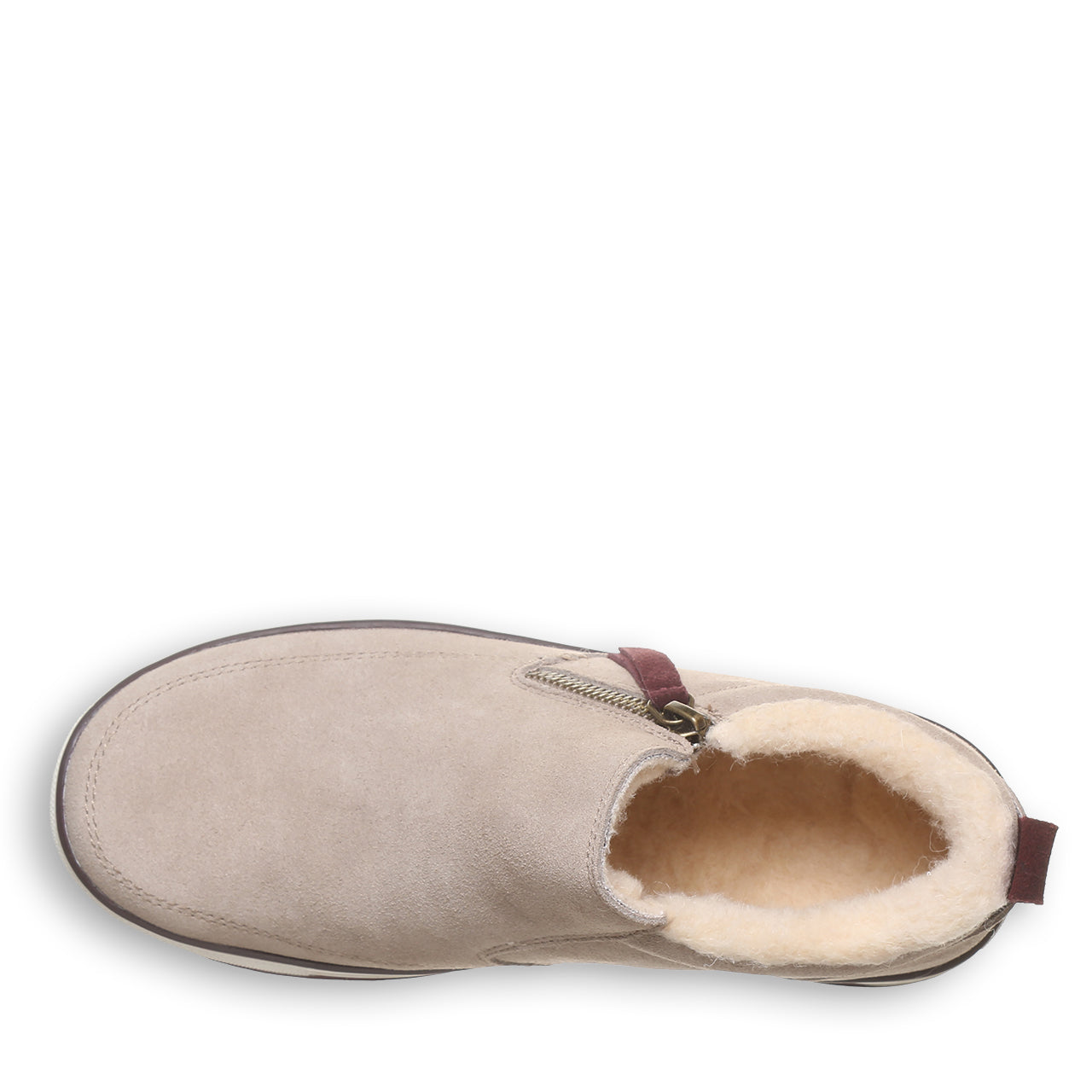 AMANZA MUSHROOM - 图片 5