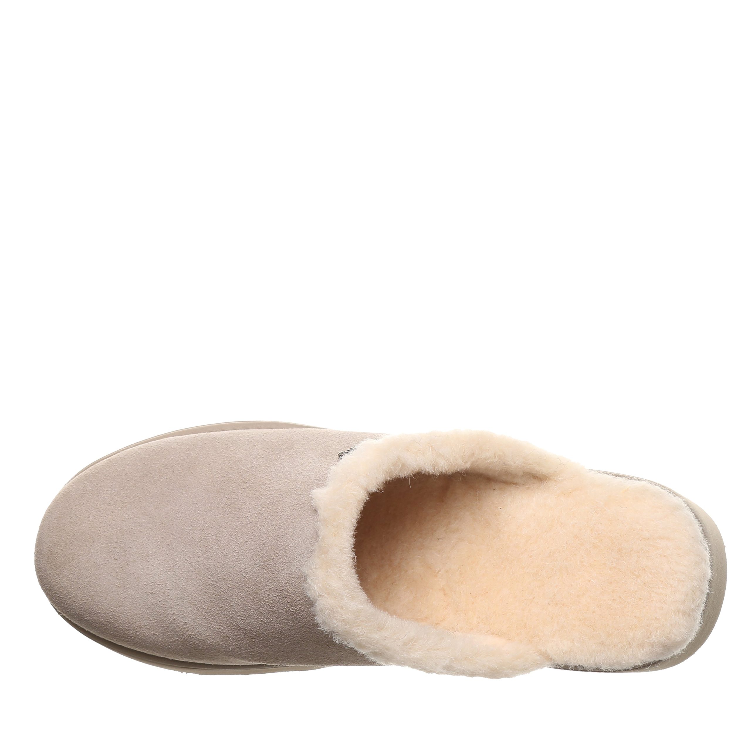 MARNIE MUSHROOM - 图片 3