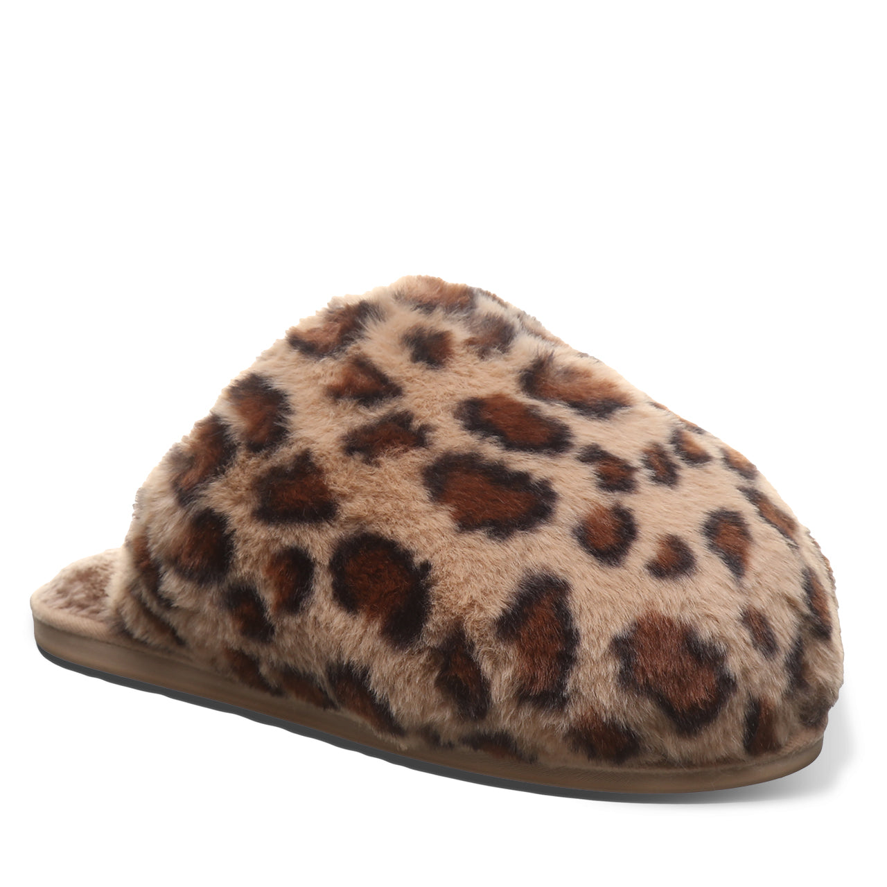 SILKIE LEOPARD - 图片 2